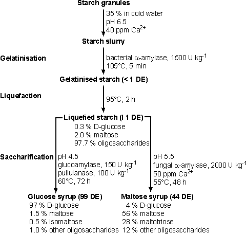 Starch hydrolysis flow chart